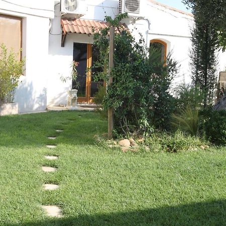 Site Machambreencamargue Vauvert Εξωτερικό φωτογραφία