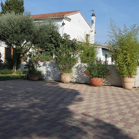 Site Machambreencamargue Vauvert Εξωτερικό φωτογραφία