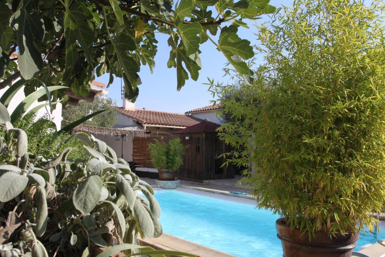 Site Machambreencamargue Vauvert Εξωτερικό φωτογραφία